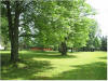 Yard leading up to Ruffed Grouse Lodge - vacation resort accommodations in phillips wisconsin