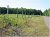 Road leading to Ruffed Grouse Lodge in Phillips Wisconsin